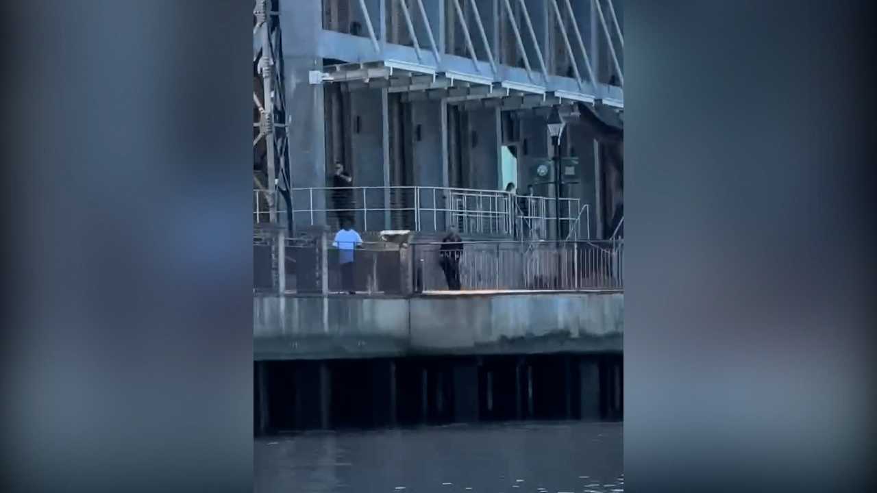 Questions raised about gun access after Savannah police kill man on ...