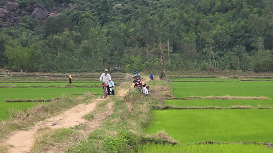 Thông tin về vụ rơi máy bay YAK-130 của Trường Sĩ quan Không quân