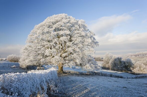 Snow maps show 21 UK areas buried as 89cm blizzards hit Britain