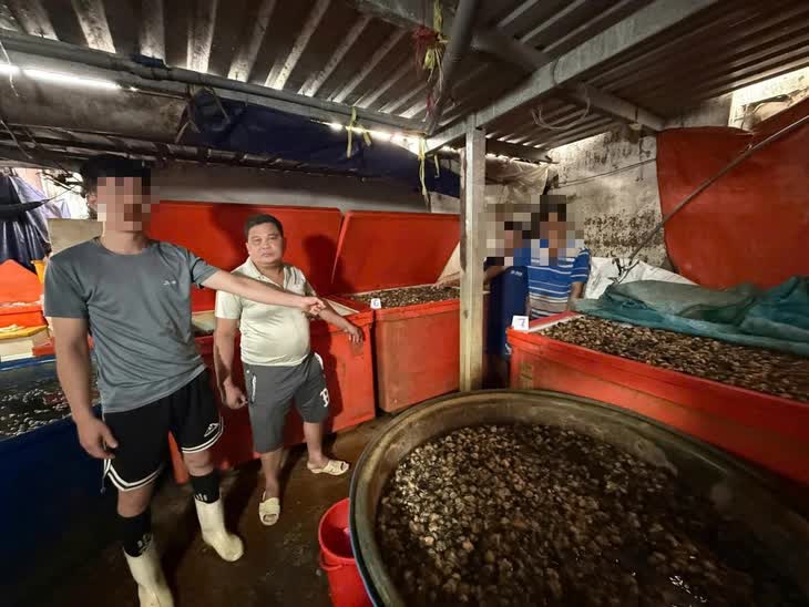 Đọc tác hại của thủy tinh lỏng mà choáng váng, 3.000 tấn ốc bươu, bao nhiêu người đã ăn?