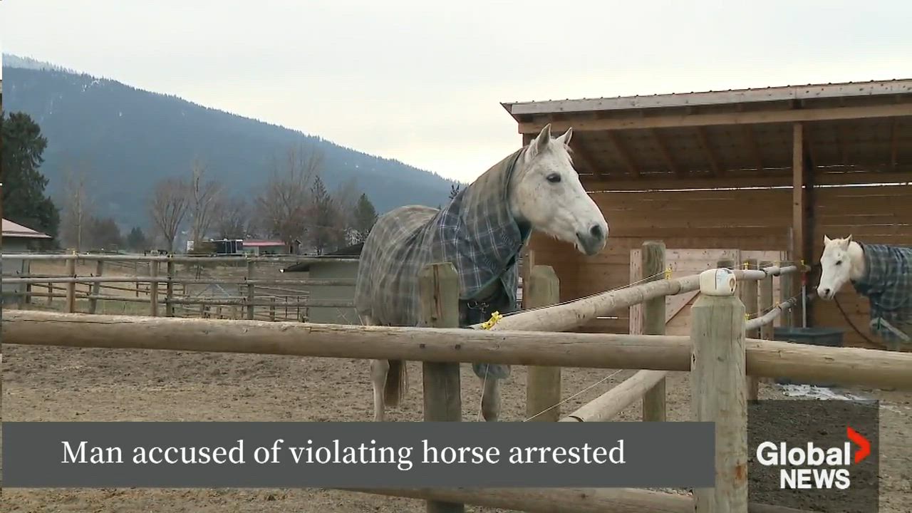 Man accused of violating horse arrested