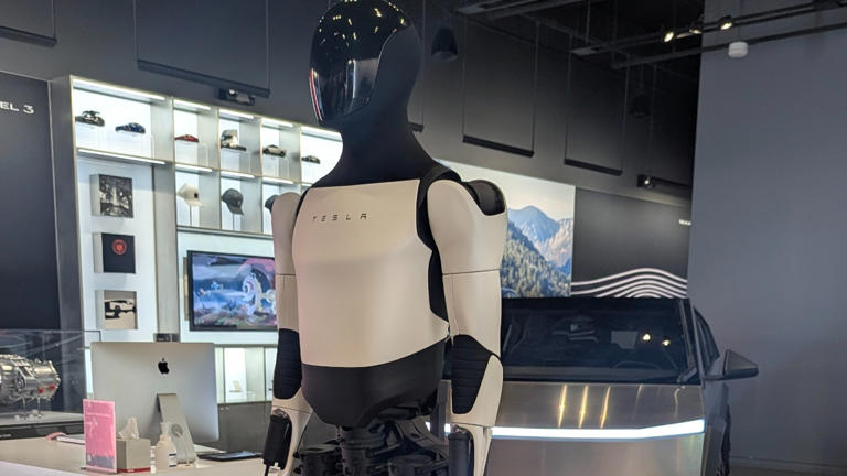 Everyone’s laughing now, but is the Tesla Bot actually the endgame?
