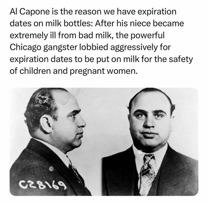 Historical Records: 41 Notable Facts For Every History Lover