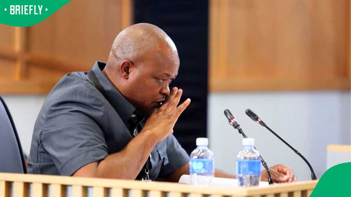 Parliament finalising security issues ahead of Brown Mogotsi's appearance  before ad hoc committee