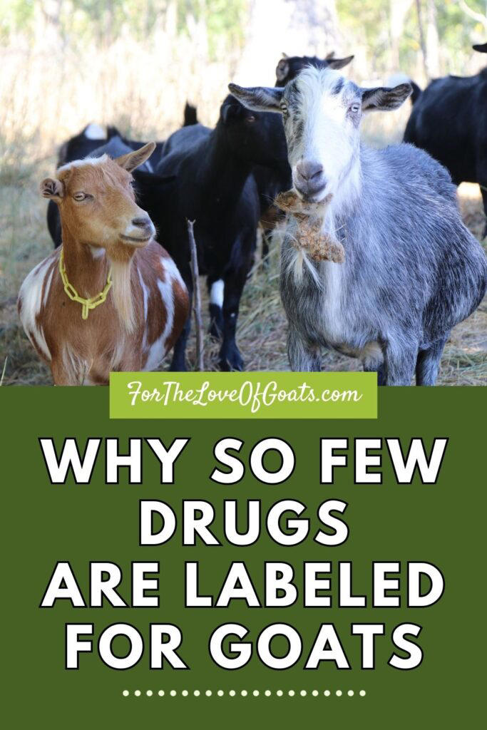 Medications for goats: Understanding antibiotics, labels, and safe ...