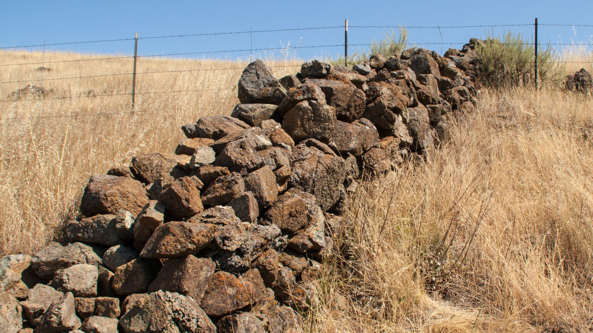Explorers in California stumbled upon ancient stone walls scattered ...