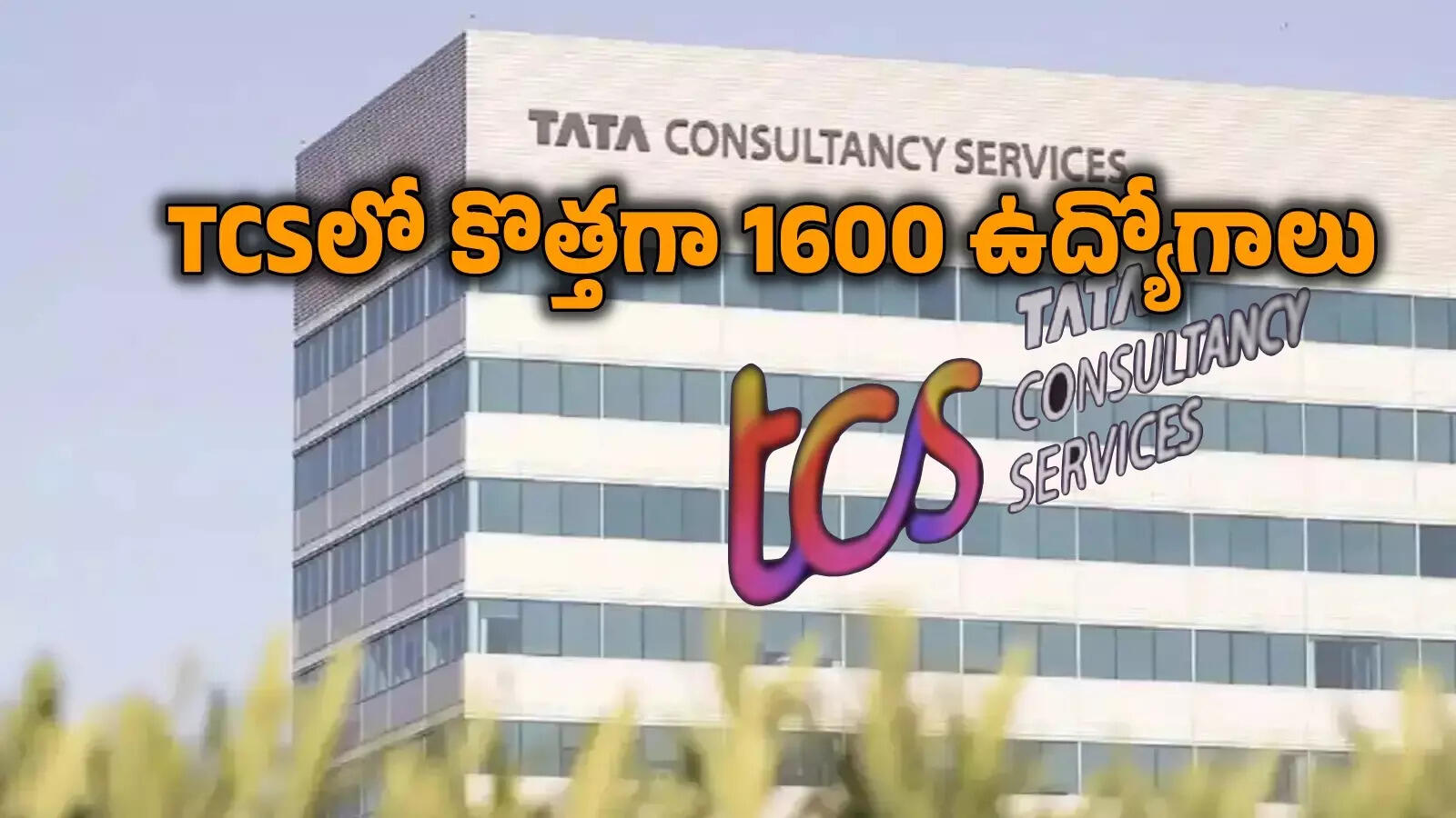 టెక్ దిగ్గజం TCS కీలక ప్రకటన.. అక్కడ రూ.330 కోట్లతో కొత్త సెంటర్.. 1600 ...