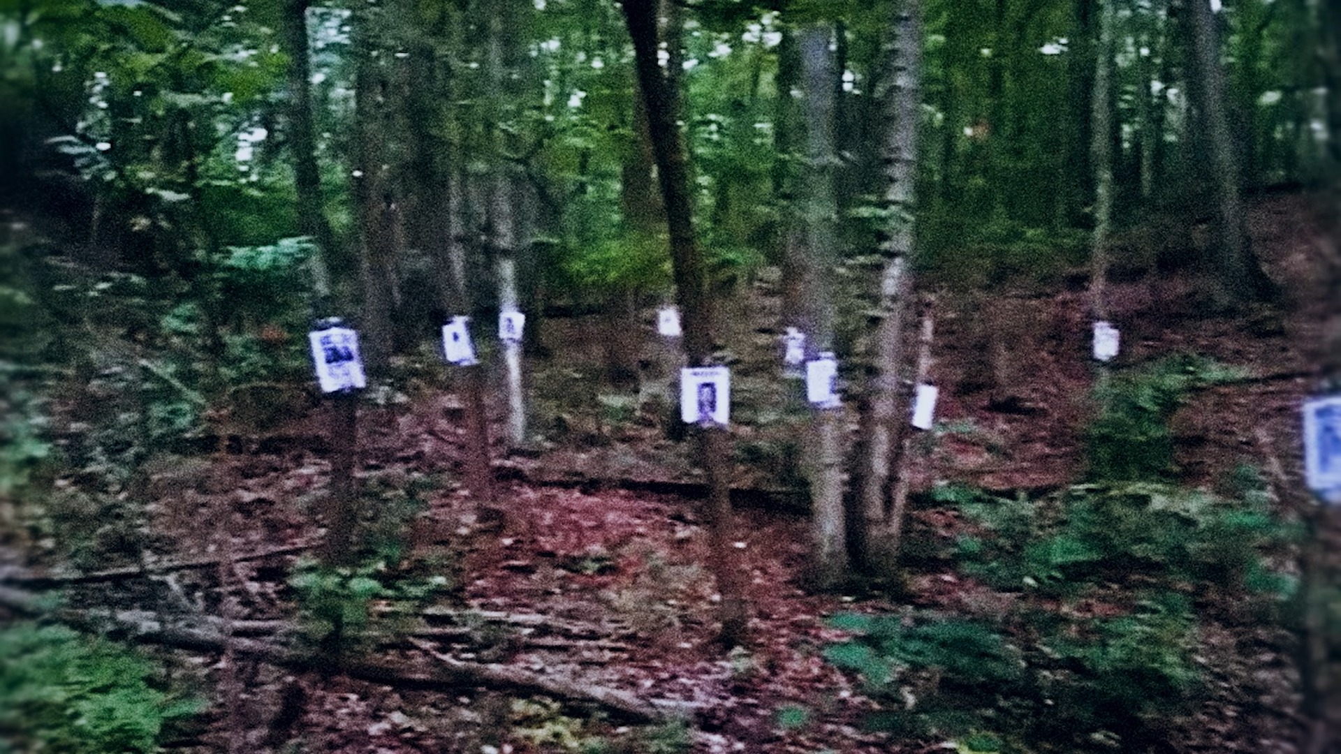 Why families built a missing people shrine when the system failed