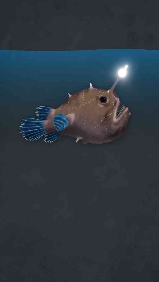 Science behind the anglerfish’s light