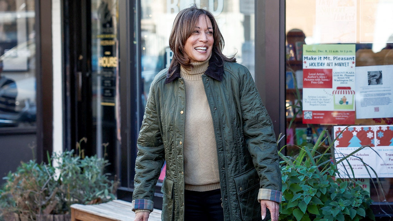 Kamala Harris calls on voters to put 'guardrails' on Trump in midterm ...