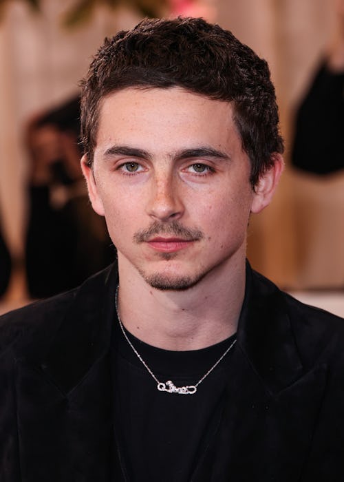 Timothée Chalamet says he paid 6 figures for his 