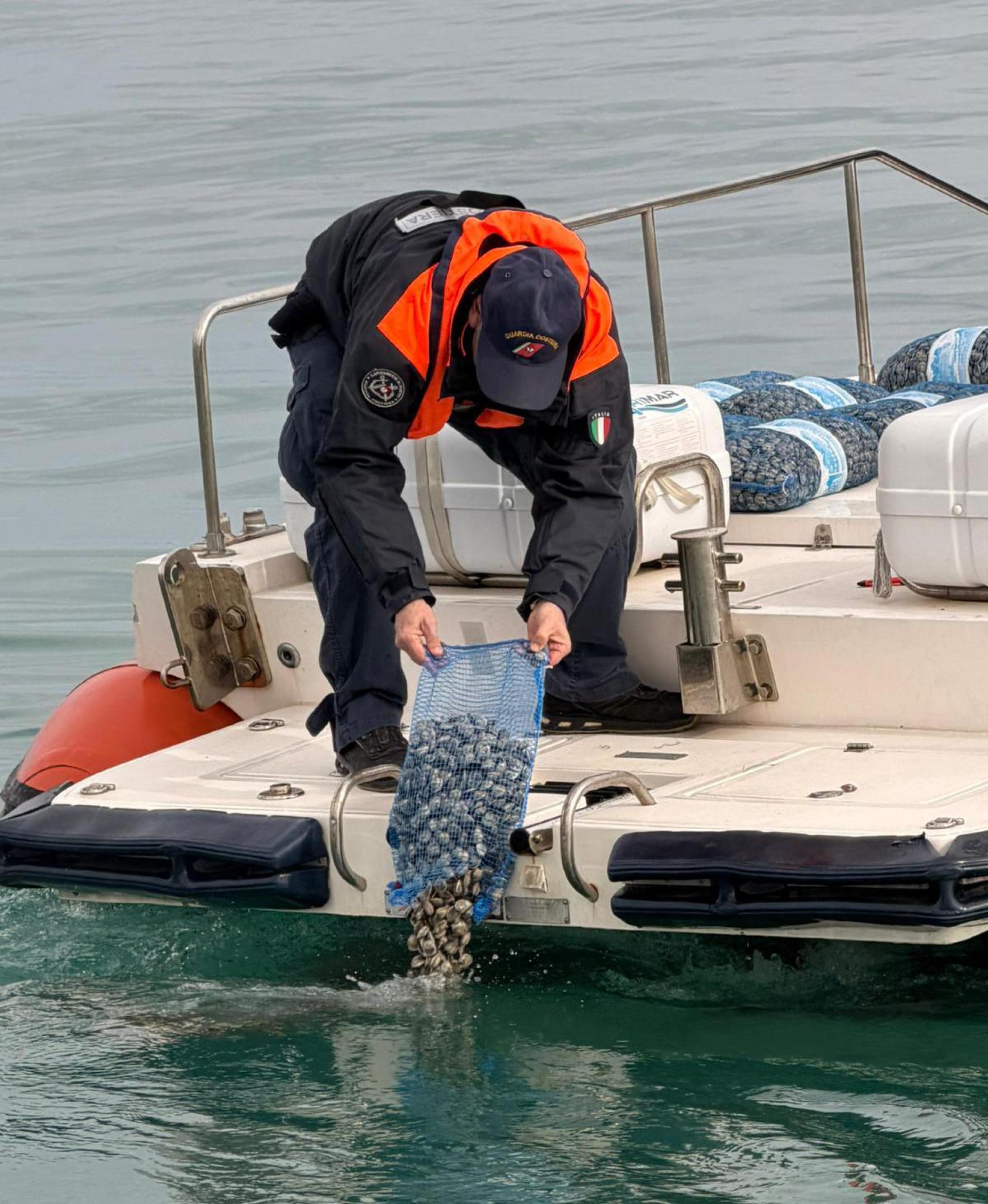 La Guardia Costiera sequestra e rigetta in mare una tonnellata di vongole