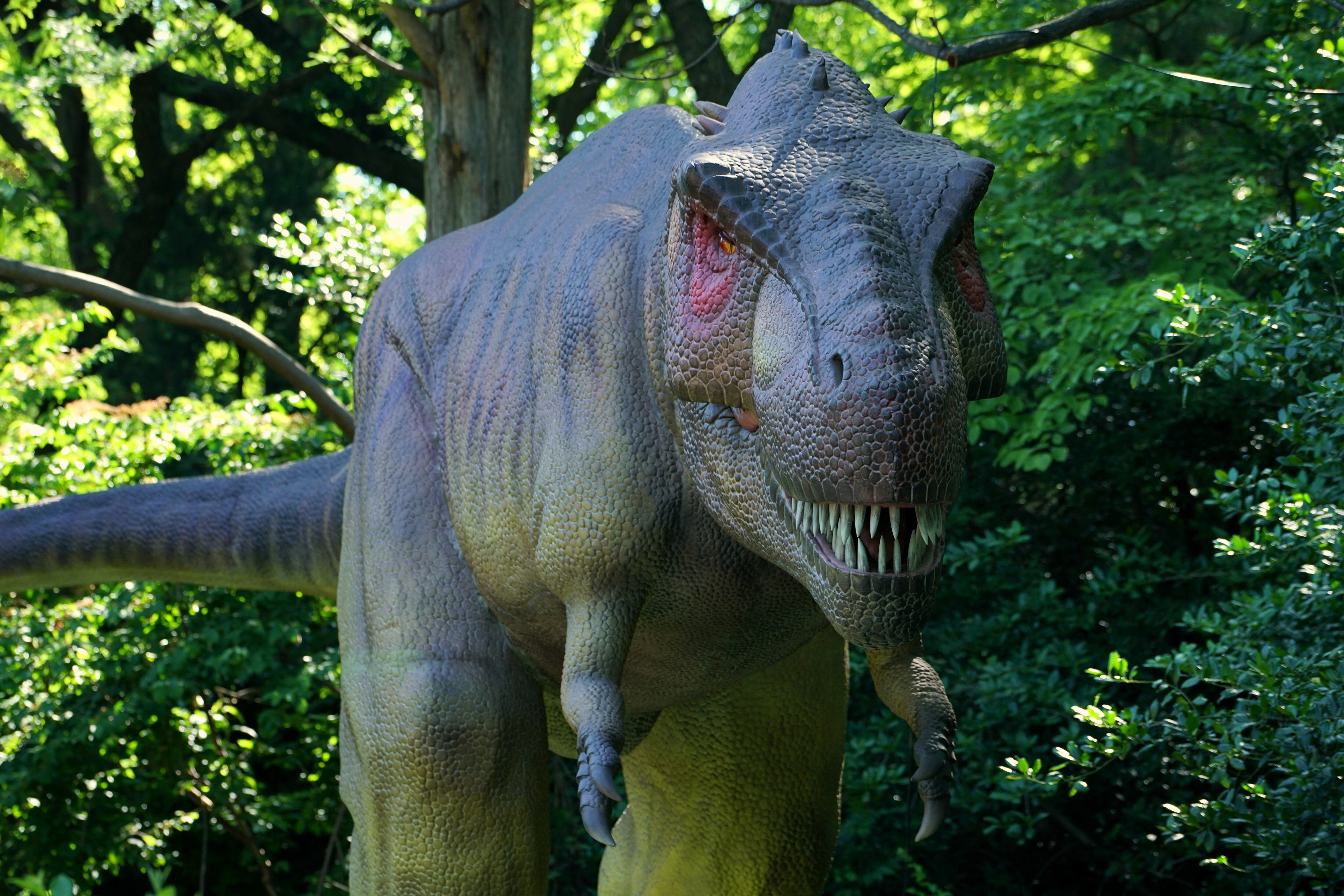 Dinosaur exhibit opening soon at Wildlife Safari Park in Ashland
