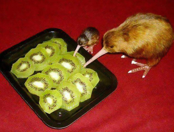 37 of the best chaotic food pics that might raise a few questions