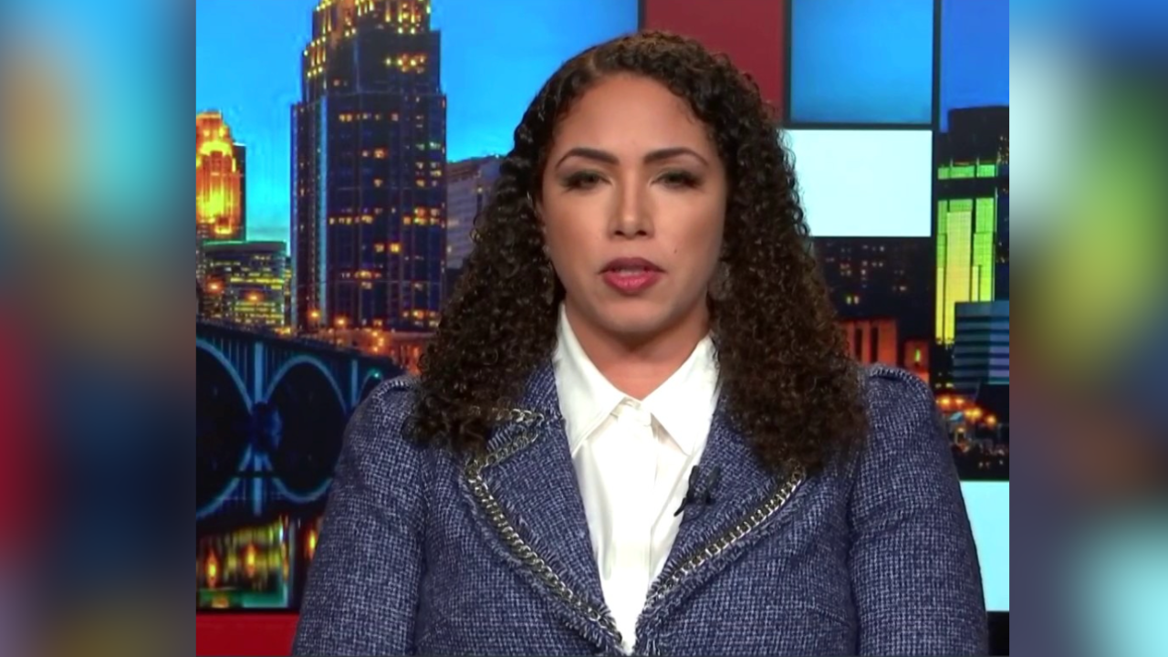 ‘Journalism is not a crime’: Georgia Fort calls out ‘strategic attack ...