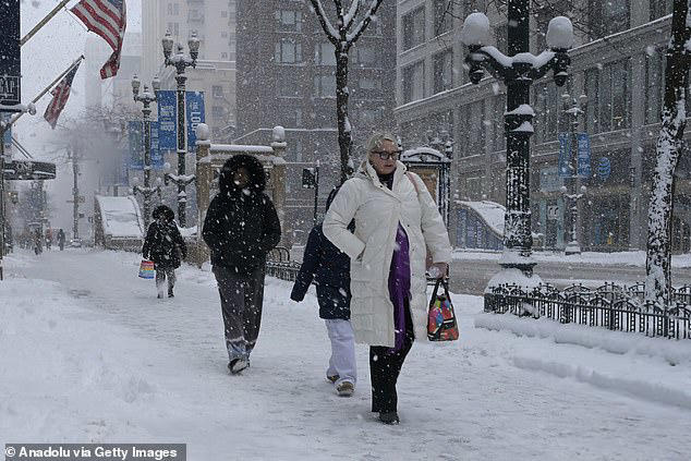 Public health officials in Chicago have confirmed seven cases of meningococcal disease, which can cause fatal meningitis or a rapid bloodstream infection. Two people have died (stock)