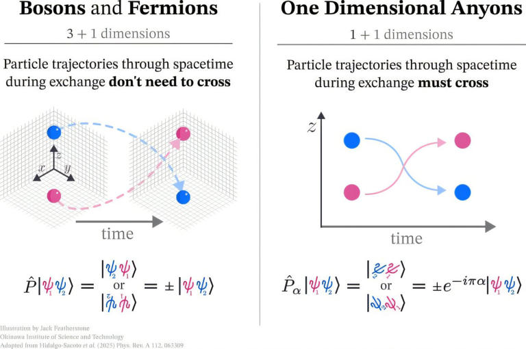 A new class of strange one-dimensional particles
