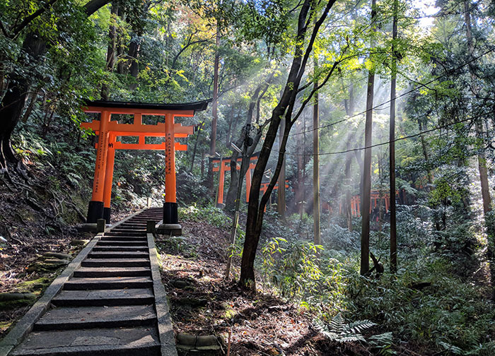 “Stay Crazy Japan”: 48 Interesting Pics That Show Why Japan Is A Country Like No Other