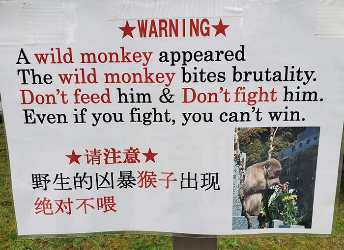 “Stay Crazy Japan”: 48 Interesting Pics That Show Why Japan Is A Country Like No Other