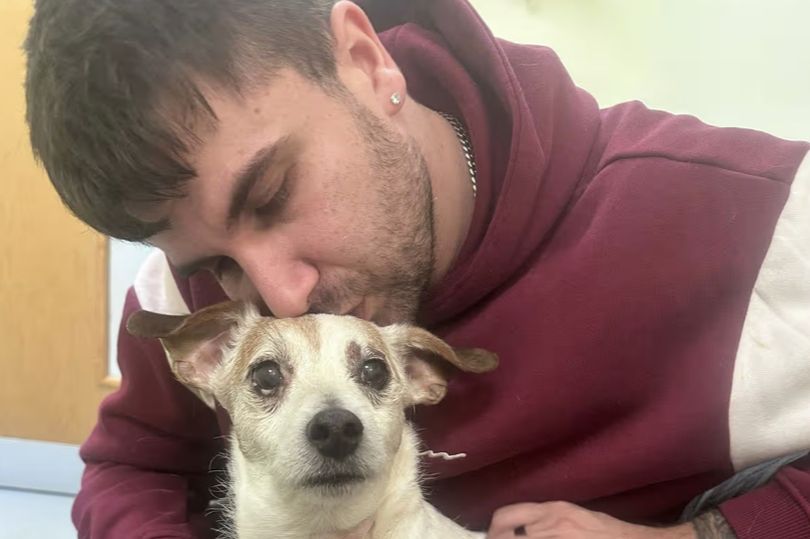 Heartbreak as dog mauled to death in three-on-one 'XL Bully' attack
