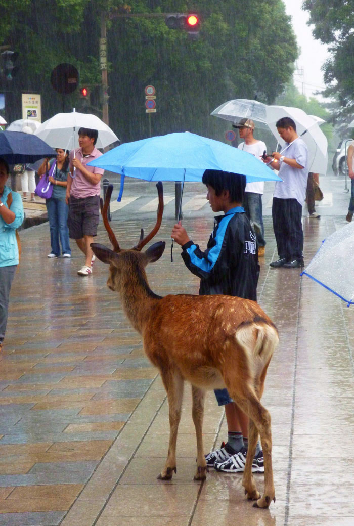 “Stay Crazy Japan”: 48 Interesting Pics That Show Why Japan Is A Country Like No Other