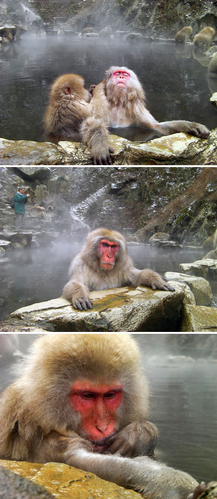 “Stay Crazy Japan”: 48 Interesting Pics That Show Why Japan Is A Country Like No Other