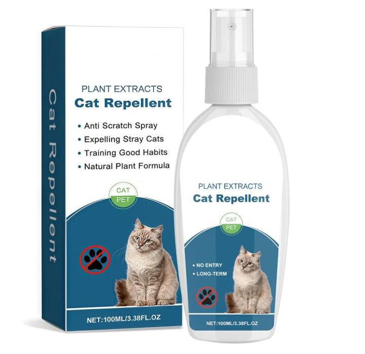 3 tips to keep kittens away from your curtains