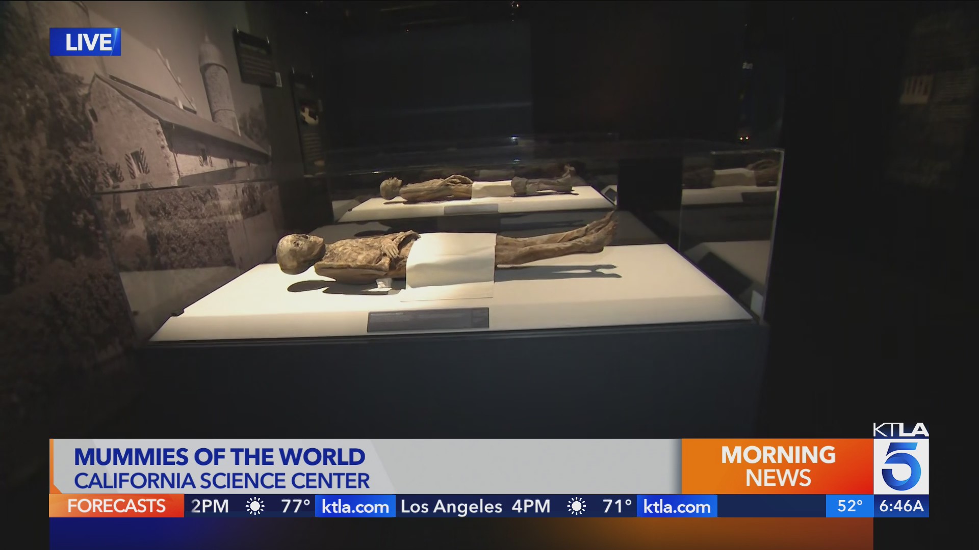 Mummies of the world at the California Science Center