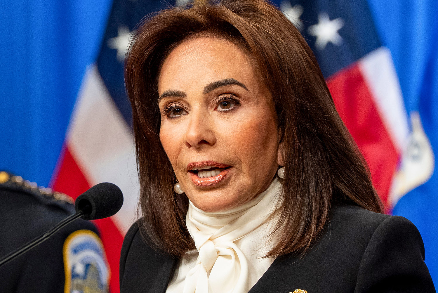 Jeanine Pirro says anyone who brings a gun to DC is 