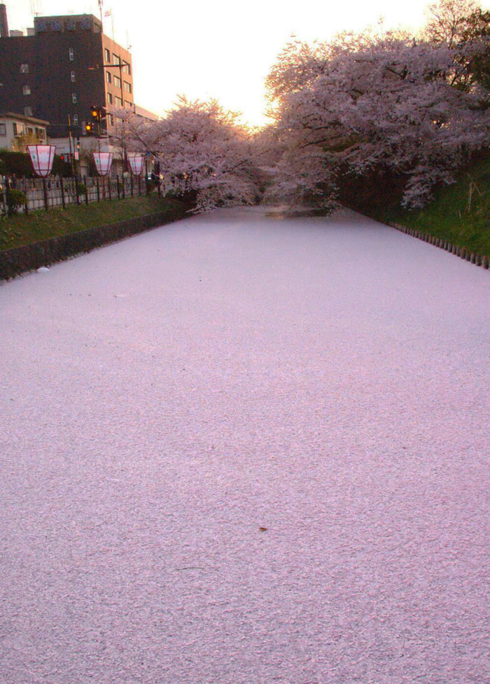 “Stay Crazy Japan”: 48 Interesting Pics That Show Why Japan Is A Country Like No Other