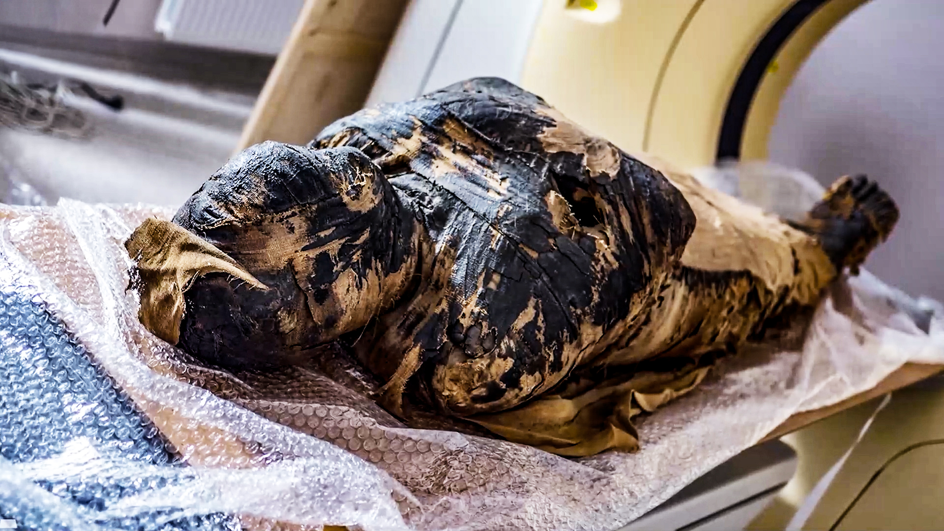 2,000-year-old pregnant mummy discovered in ancient Egypt