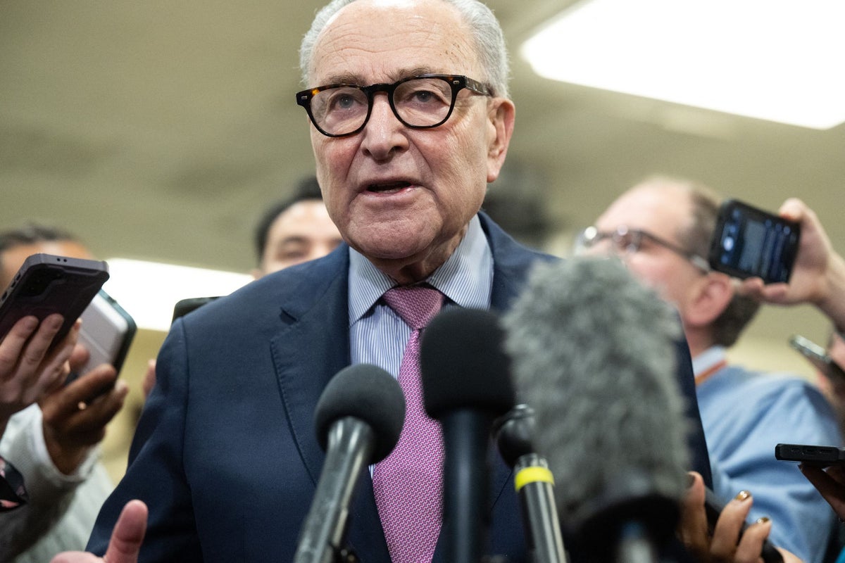 ICE funding and surge across the nation set up Schumer for more pain