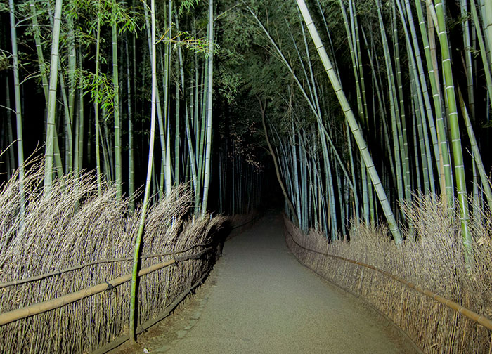 “Stay Crazy Japan”: 48 Interesting Pics That Show Why Japan Is A Country Like No Other