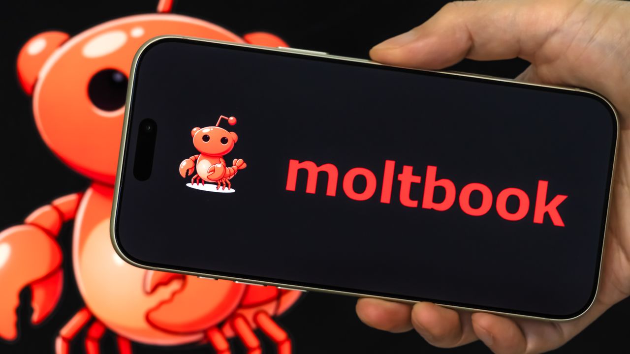 1.6 million AI bots are on Moltbook — here's how to join as a human