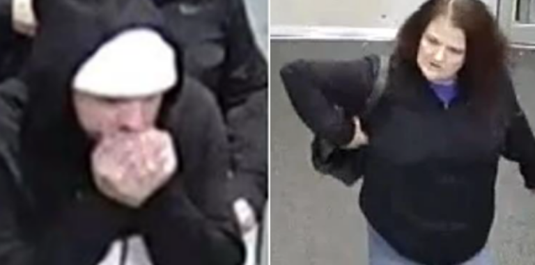 Serial grand larceny suspects sought in Virginia Beach