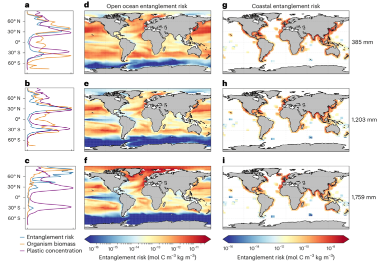 Scientists reveal the hidden dangers of plastic pollution to marine life
