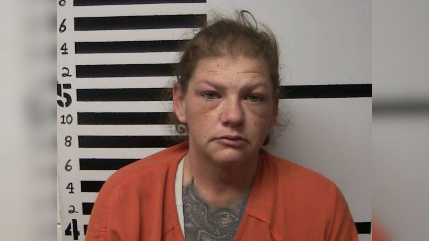 TBI releases new details; Ohio woman charged with murder in shooting ...