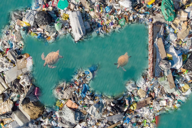 Scientists reveal the hidden dangers of plastic pollution to marine life