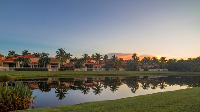 Residents take action as large reptiles take over US region: 