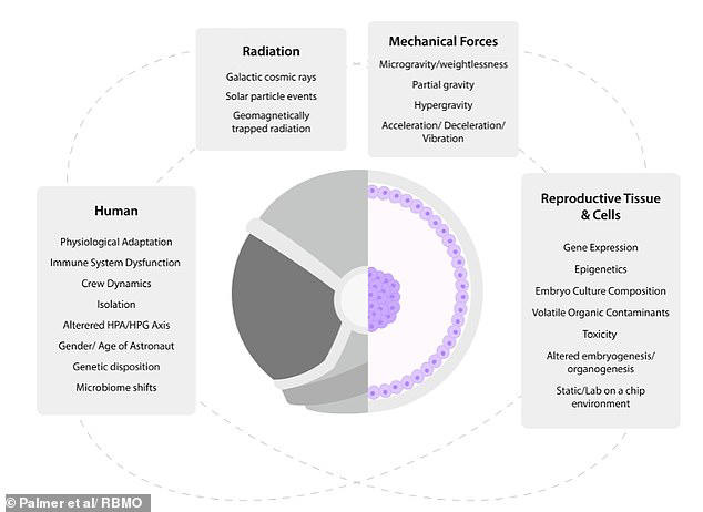 Women could soon give birth to babies in space amid a 'new era of ...