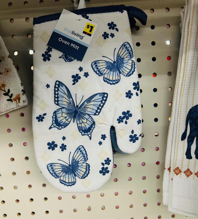 Dollar General's new kitchen line = Pioneer Woman vibes starting at $1
