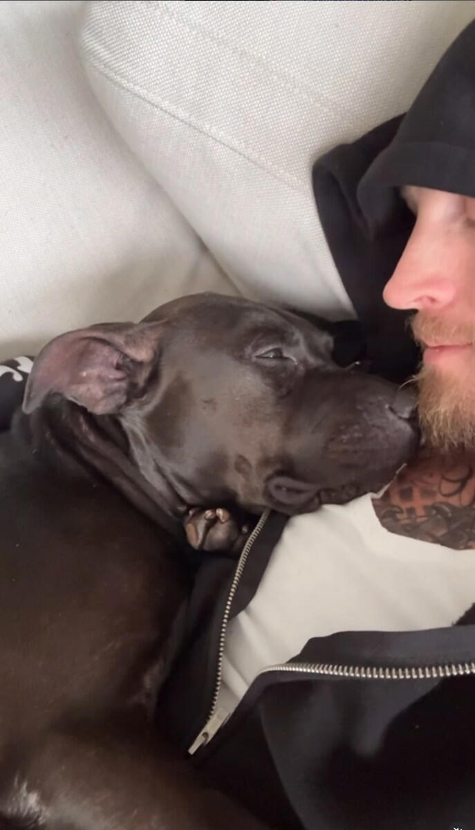 Tom Hanks becomes a grandpaw after Chet rescues a stolen dog