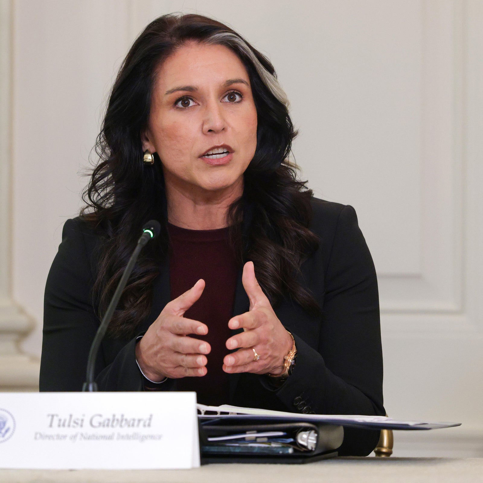 Watchdog shares whistleblower complaint involving Gabbard with Congress after delay<br>