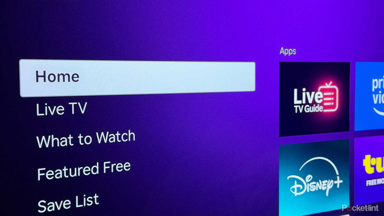 Roku quietly added 9 free channels that include live sports, anime and more
