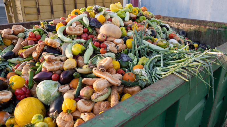 AA1VCbeT Food Waste Costs U.S. $384 Billion, Consumers Bear Major Blame