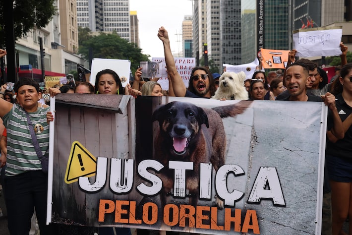 Manifestação na Avenida Paulista pediu justiça pelo cão Orelha Foto: Tiago Queiroz/Estadão