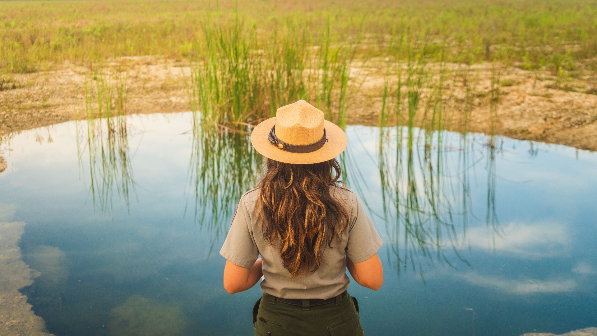Researchers in the Everglades use technology to help hunters remove ...