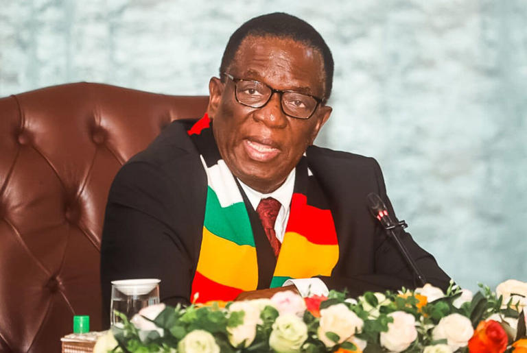 Mnangagwa tightens grip as son climbs military ranks