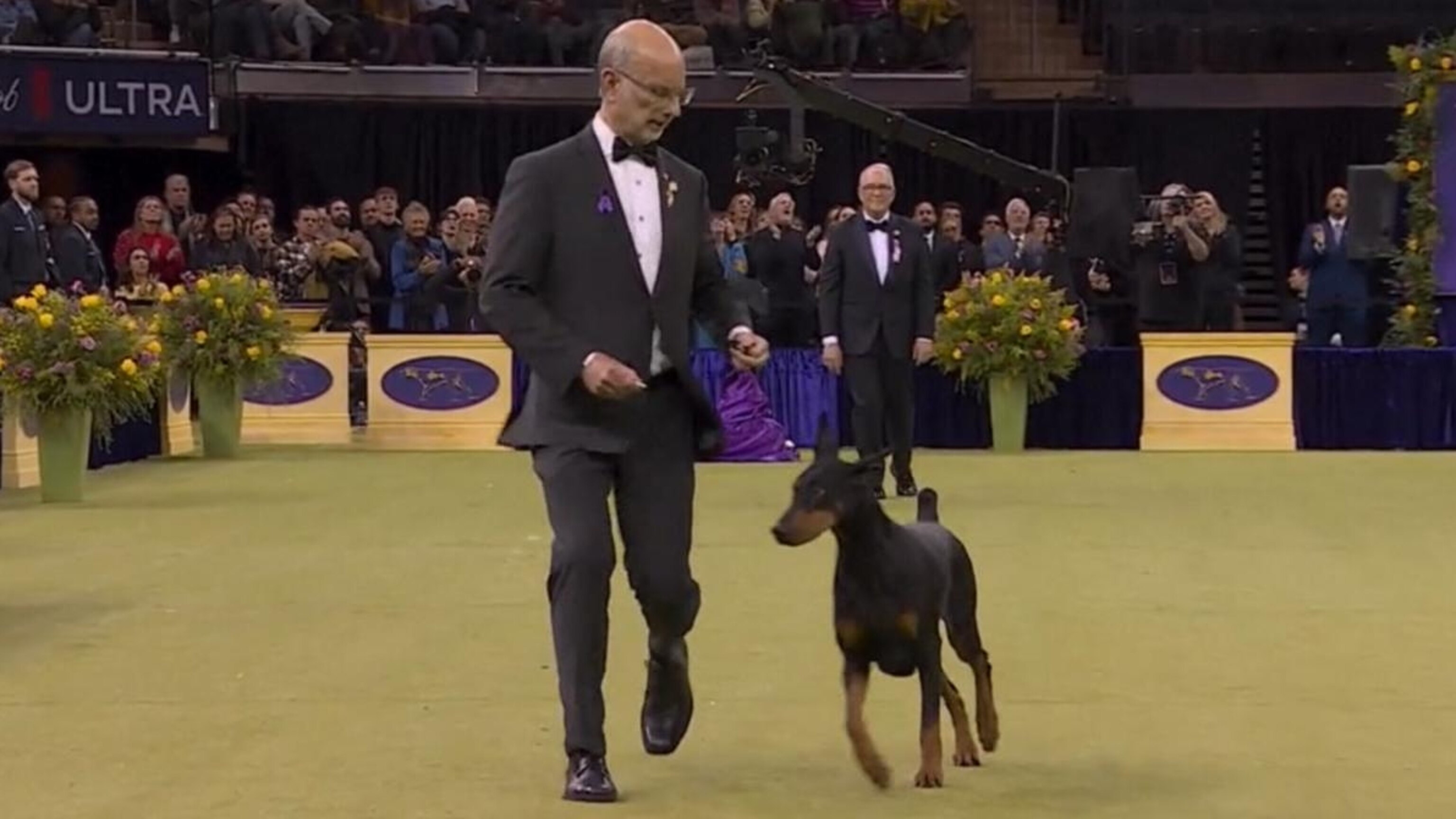 Emotional win at Westminster Kennel Club Dog Show
