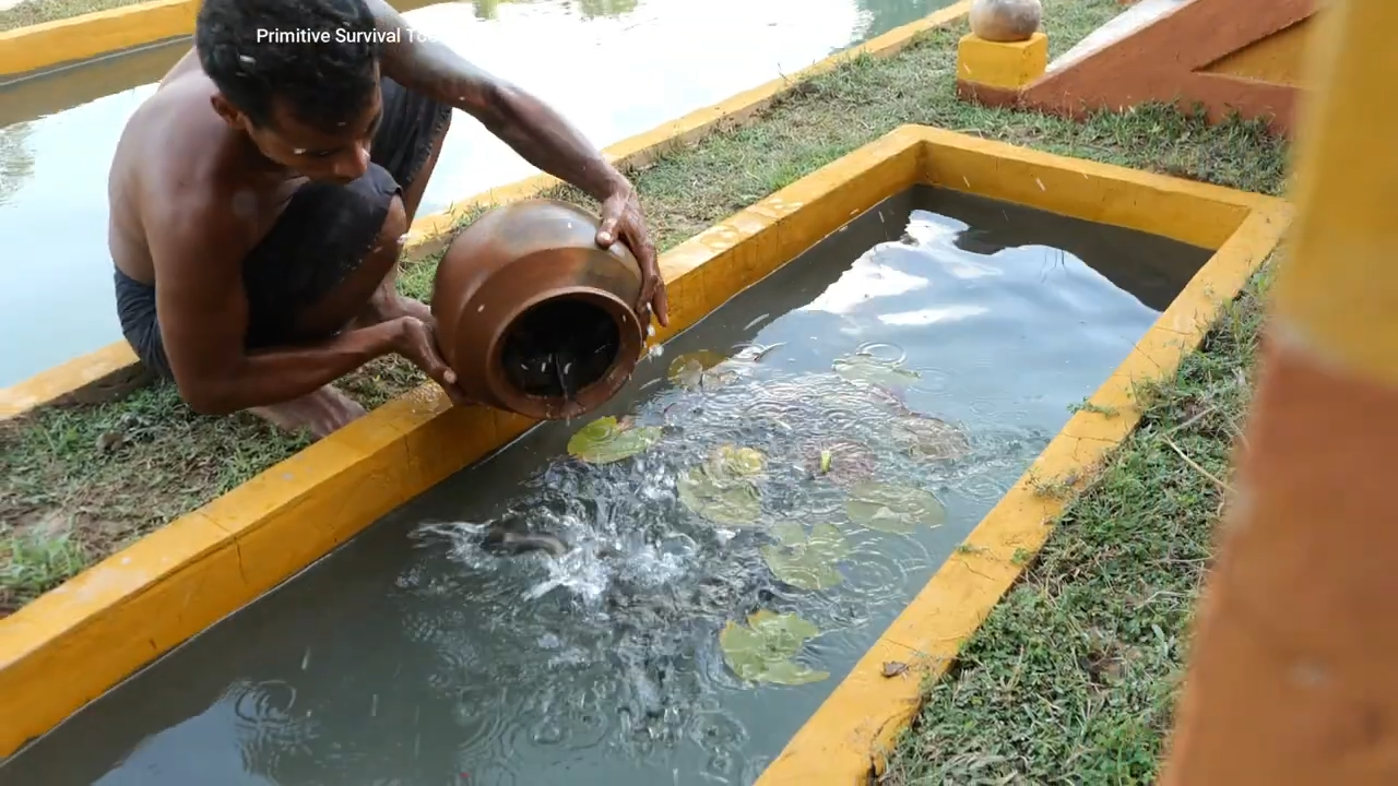 We tried to build a pool and fish pond together, then the plan started ...